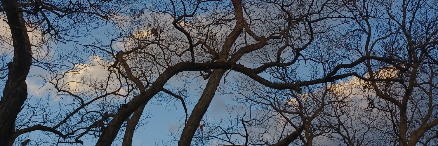 66memphis99's profile banner image