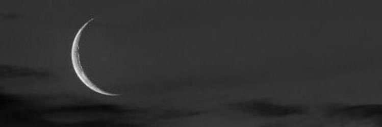 Str8coldBlooded's profile banner image