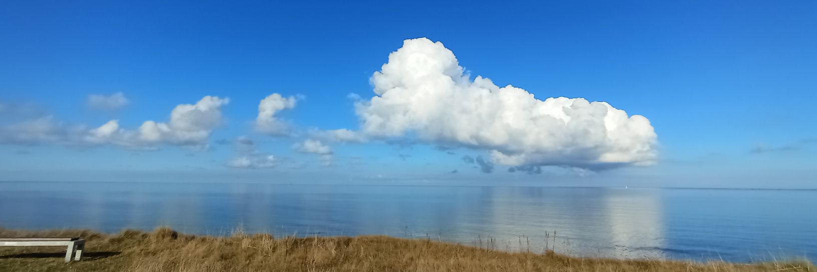 Hen der Heide banner