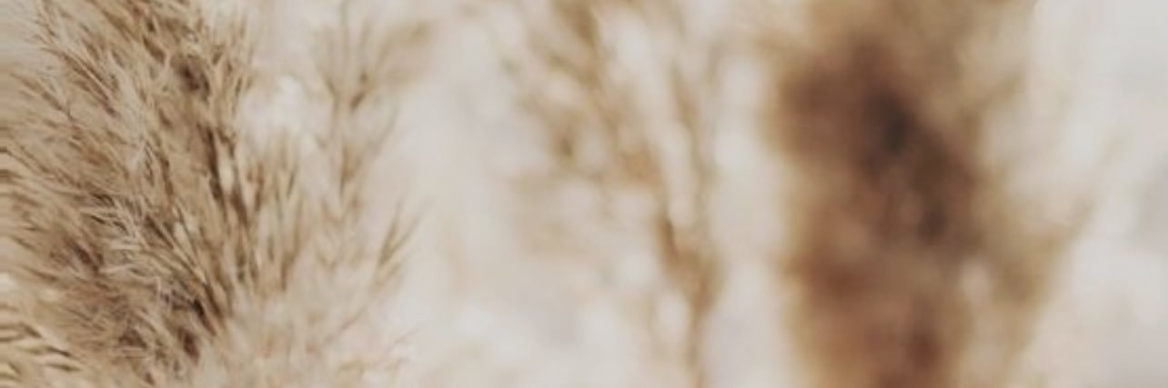 camscharny's profile banner image