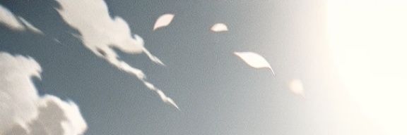 Rayn banner