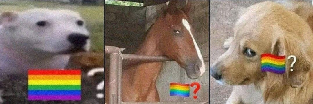 juanmandito's profile banner image