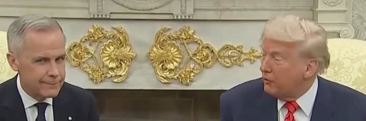 Skyler Jordan Swan banner