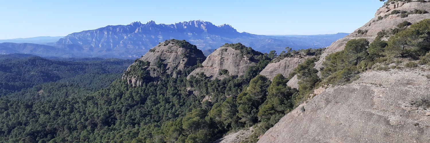 Roc de Terrassa banner
