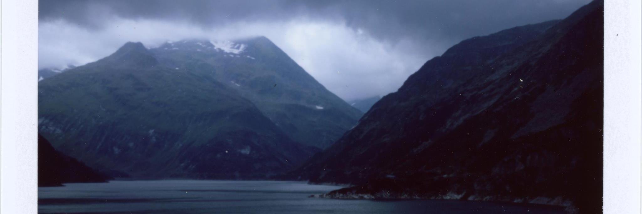 Marian Rainer-Harbach banner