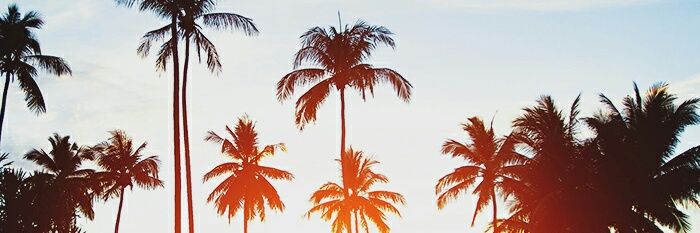 PiliPrieto_95's profile banner image
