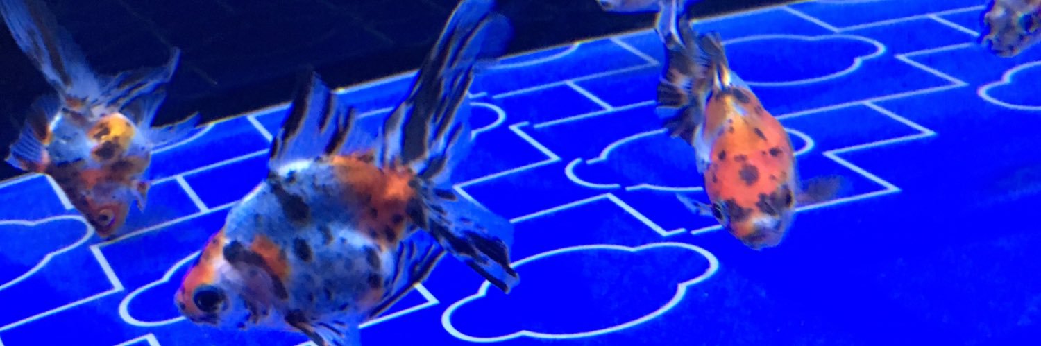 Mminimoi's profile banner image