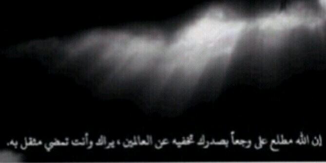 missdilo2013's profile banner image