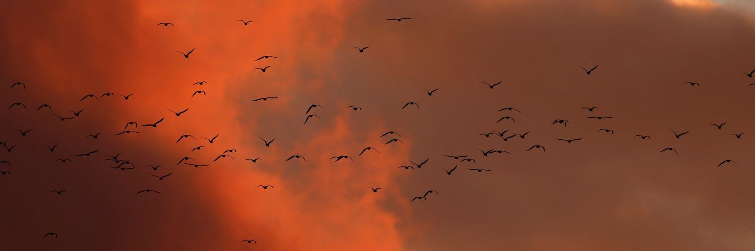 vaydaaa's profile banner image