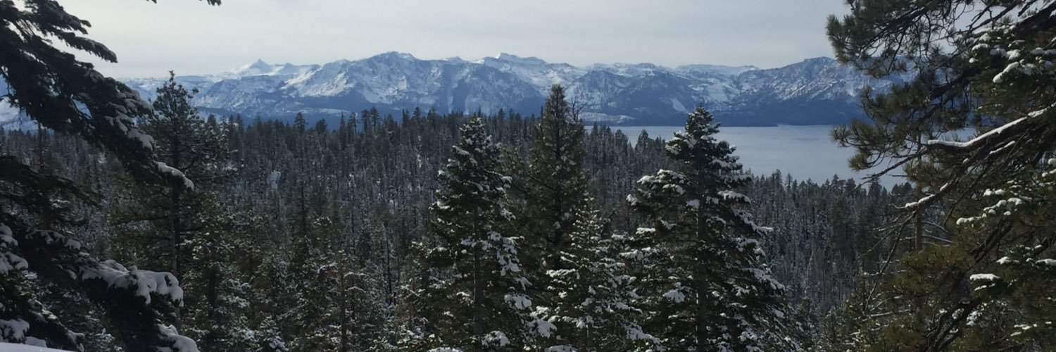 jayn07's profile banner image