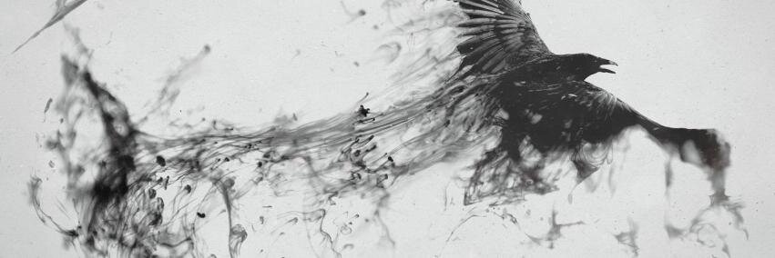 cherry_luli's profile banner image