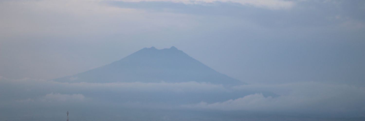 bibibudy's profile banner image