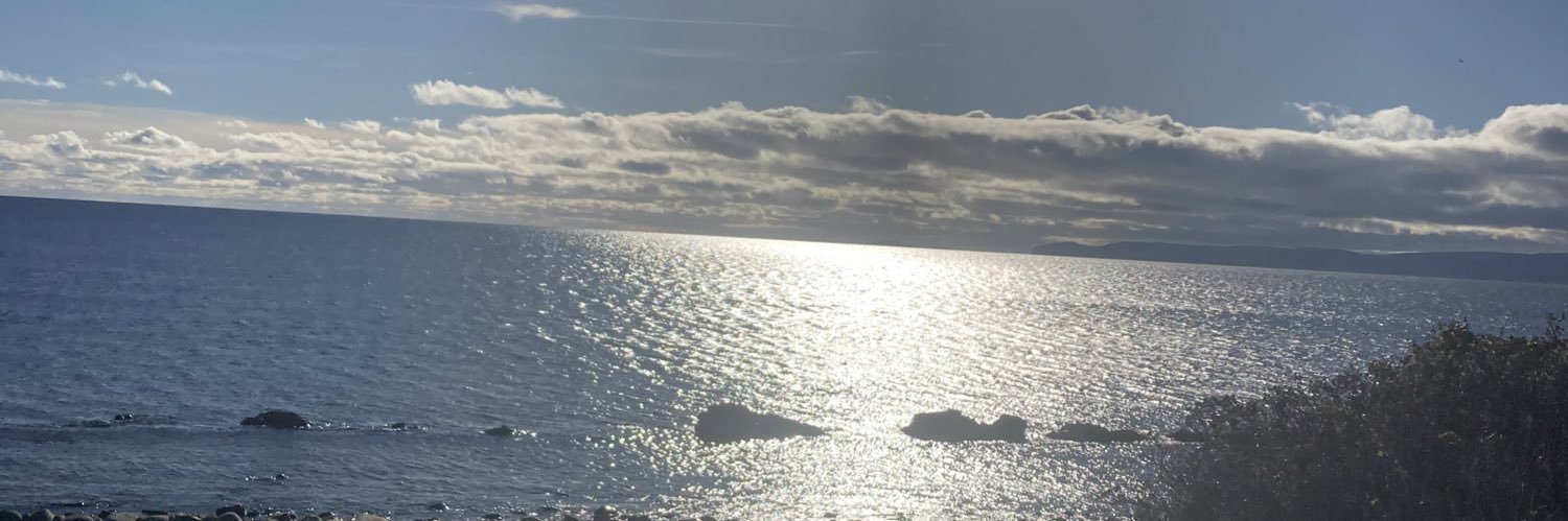 Emma Henderson MSYP banner