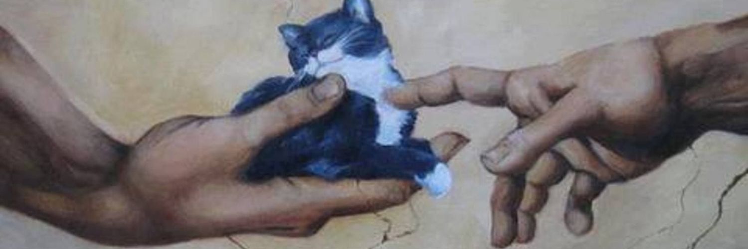 inescastrog's profile banner image