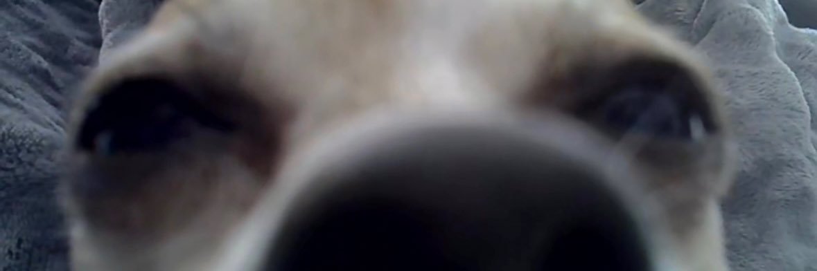 syncr__'s profile banner image