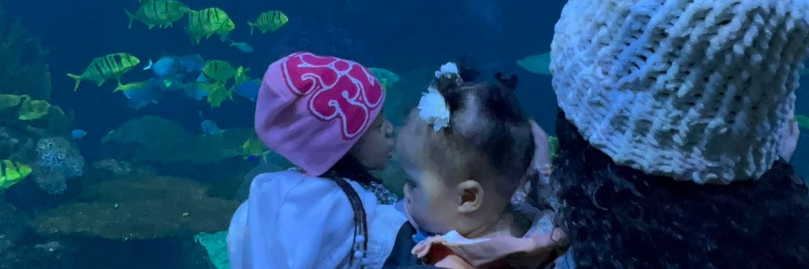 Shanicetheceo's profile banner image