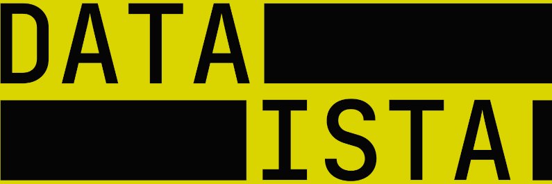Dataista SpA banner