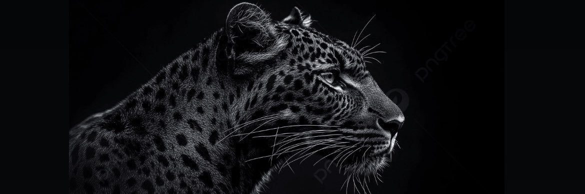 aevum_gul's profile banner image