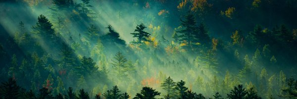 CoderTony_ Profile Banner