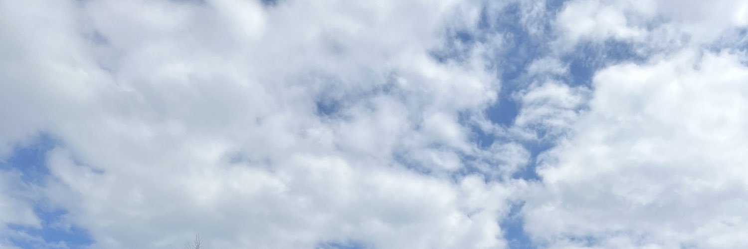 michelleanene_'s profile banner image