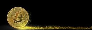 Joel banner