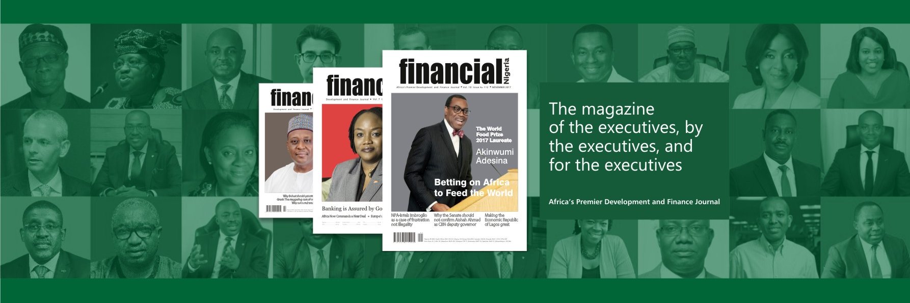 Financial Nigeria banner