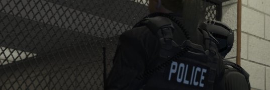 Stallion banner