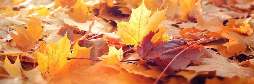 PerthCounty's profile banner image