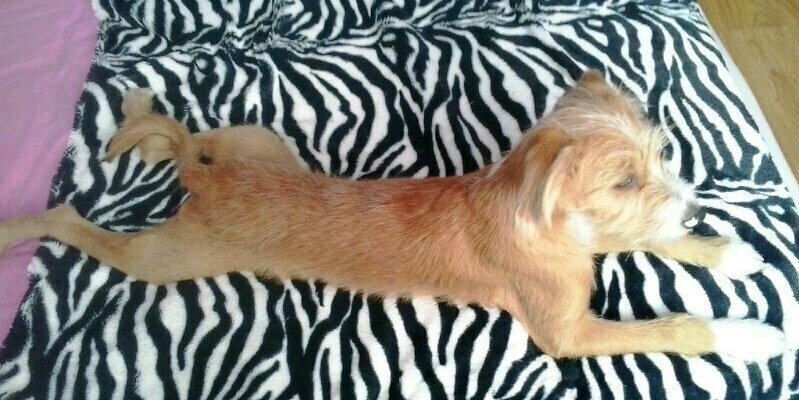 ruper1's profile banner image