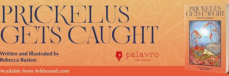 Bexams Bexams banner