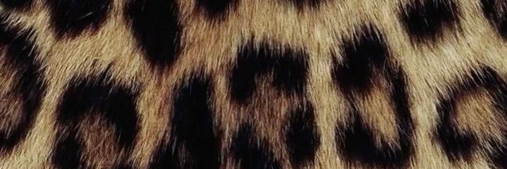 juulssteen's profile banner image