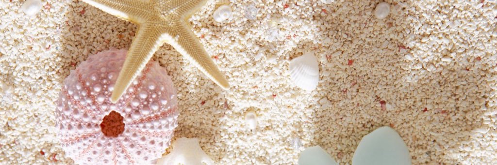 fernandamh_'s profile banner image