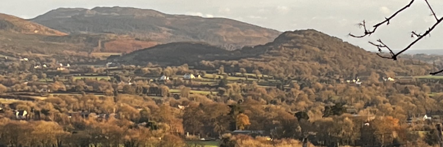Fergal McBride Sheehy banner