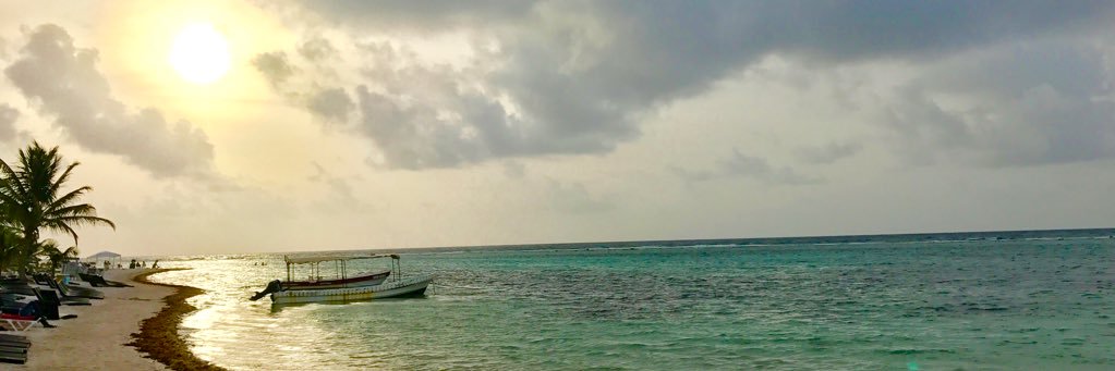 pepemere's profile banner image
