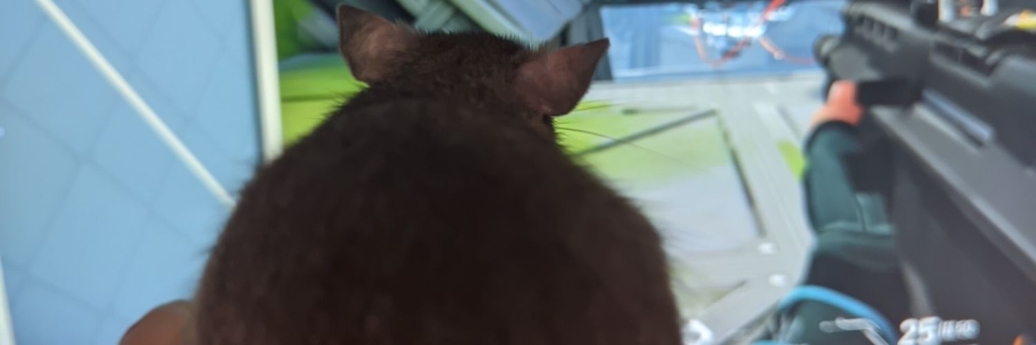 dedessa banner