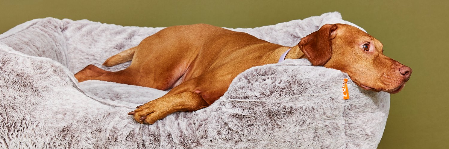 FÜZI Pets banner