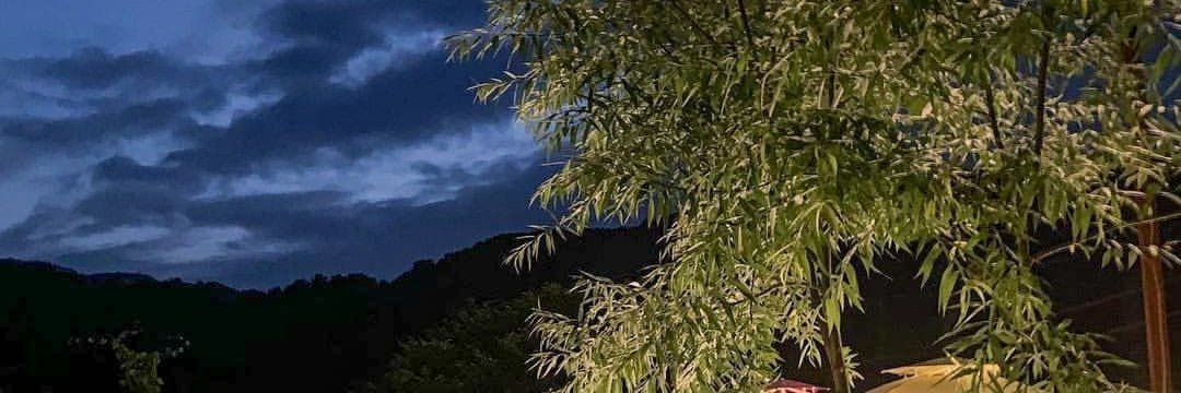 mersoom's profile banner image