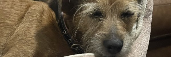 _Renaia_ Profile Banner