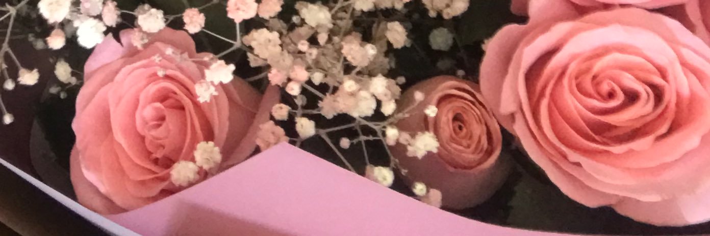 Janet Ayvar Serna banner