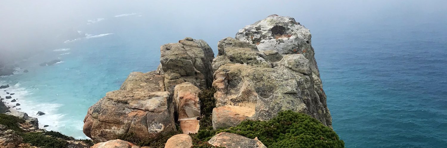 Vaidehi Mujumdar, MD banner