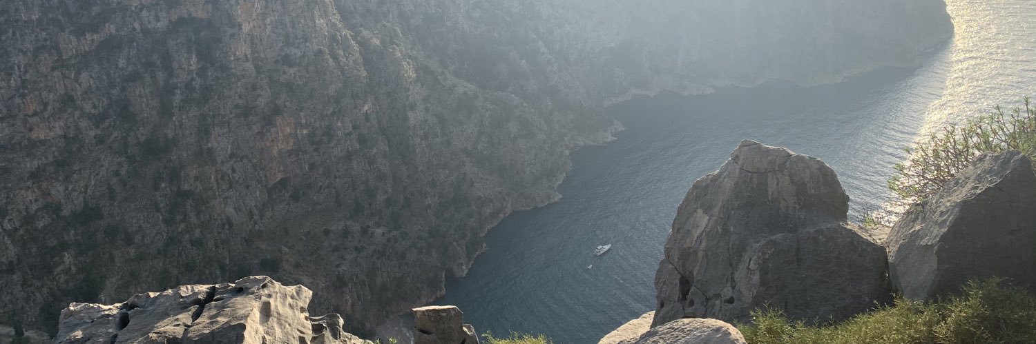 AliUzunoglu__'s profile banner image