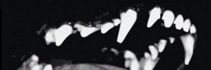 stph_16's profile banner image