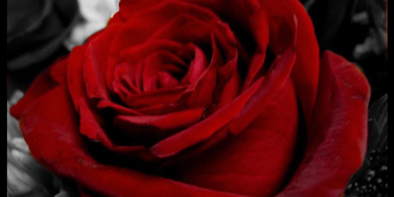 codie_murphy's profile banner image