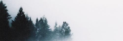 RapturousMuse's profile banner image