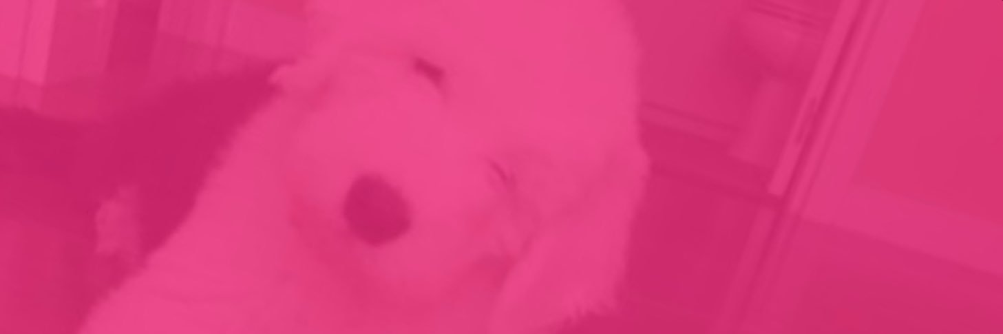 patrix_bombero's profile banner image