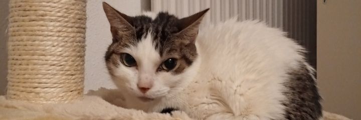 Sandrilv_21's profile banner image