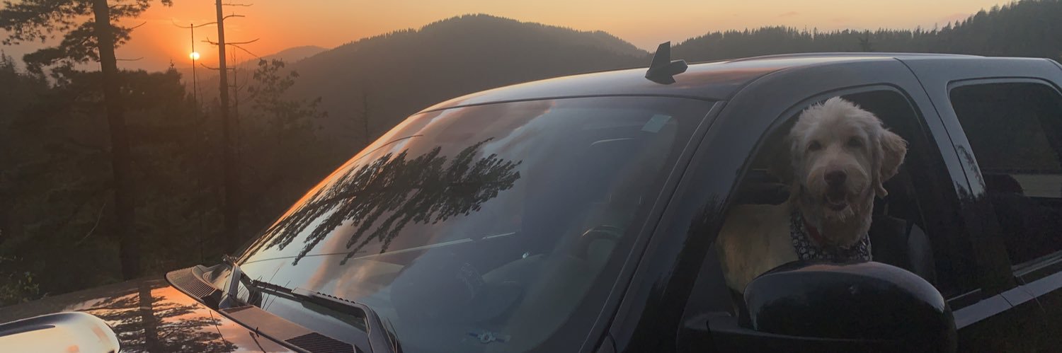 dufenhorst's profile banner image