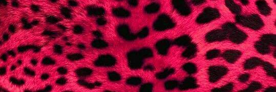 BELUHZ's profile banner image