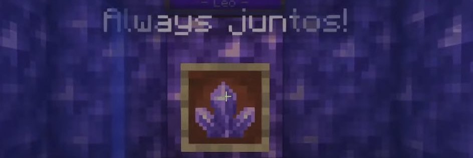 lyn banner