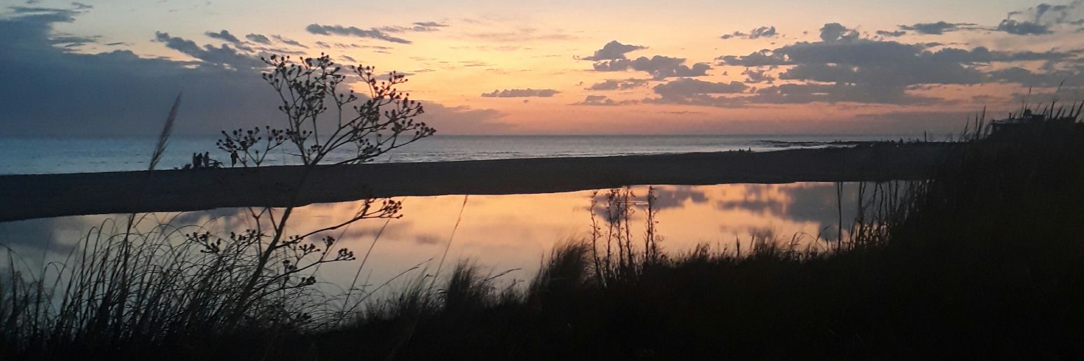 SolcitoLpz's profile banner image